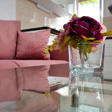 Apartment Stella Maris